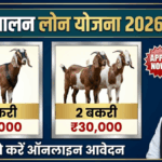 Bakri Palan Loan Yojana 2026