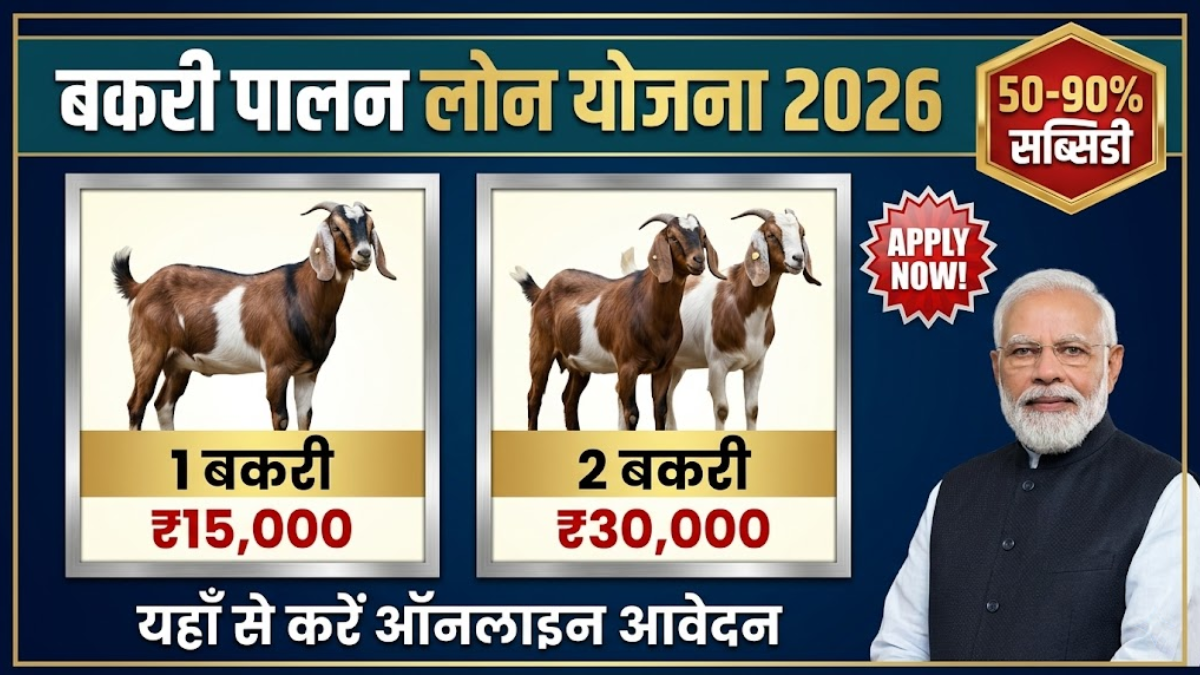 Bakri Palan Loan Yojana 2026